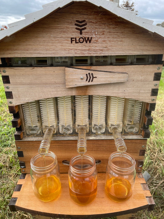 First honey of Spring - Cowra Gold